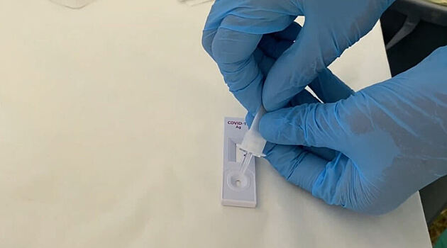 «По три раза в день»: В Госдуме предложили дать россиянам право на бесплатное тестирование