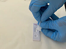 «По три раза в день»: В Госдуме предложили дать россиянам право на бесплатное тестирование