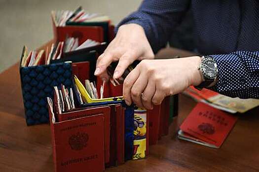 МВД: под Петербургом задержан главарь группы, продававшей военные билеты