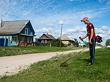 Россияне кинулись скупать землю