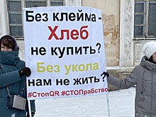 «Не превращайте в стадо!» В российском регионе прошёл пикет против QR-кодов