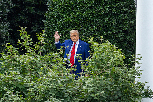 Трампы запускают сотовую связь и продажу золотых телефонов
