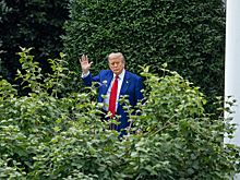 Трампы запускают сотовую связь и продажу золотых телефонов