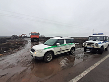 В Курском районе поймали виновника несанкционированной свалки