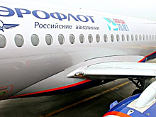 Глава "Аэрофлота" будет приветствовать создание в РФ второго лоукостера