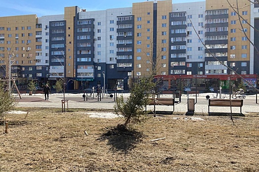 Озеленение улицы в Челябинске может вылиться в уголовное дело