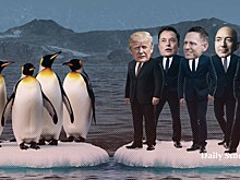 Остров для миллиардеров. Почему Дональд Трамп зубами вцепился в Гренландию