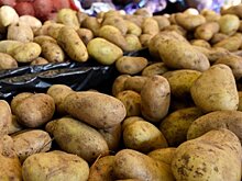 Спецкомиссия ФАС возьмется за гречку и картофель в Крыму