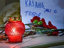 Сколько ЧП со стрельбой произошло в школах России за пятилетку