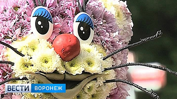 Воронежцы увидят на выставке «Город-сад» более 100 ландшафтных композиций