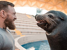 Криопроцедуры Гвоздика, Забит разгрузился гольфом, семья Макгрегоров с морским хищником — соцсети
