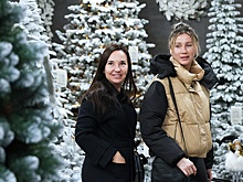 Эксперт Лебединская: Искусственные ели будут стоить от 1 до 6 тысяч рублей