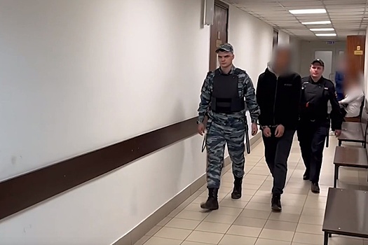В Петрозаводске суд заключил под стражу подростка, ранившего ножом двух девушек