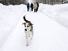 Синоптик Леус рассказал о погоде в районе Пермского края, где пропали туристы
