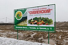 В тепличный комбинат в Смоленской области будет инвестировано более 3 млрд рублей