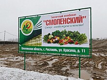 В тепличный комбинат в Смоленской области будет инвестировано более 3 млрд рублей