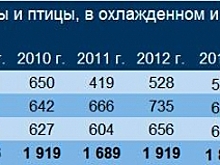 Россия стала независимой в сельском хозяйстве