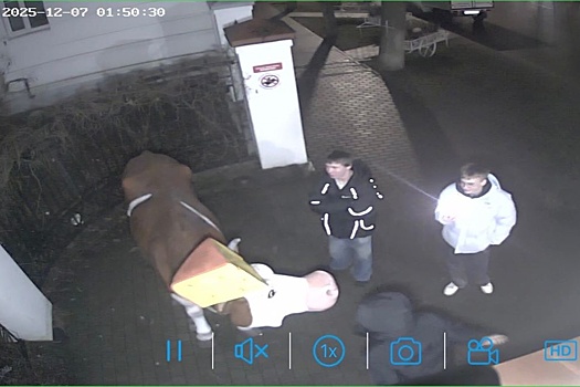 Вандалы в Костроме оторвали рог корове у "Музея сыра"