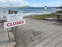 Несколько человек пострадали из-за нападения акул в Австралии, пляжи закрыты