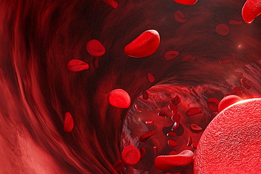 В Новосибирске создали коллектор для выращивания искусственных сосудов