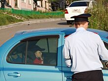 С 12 июля в РФ вступают в силу новые правила перевозки детей