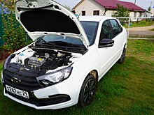 При покупке LADA Granta будущий владелец отказался опции «сетка в бампер» и пожалел