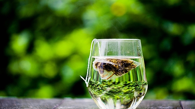 Ученые выяснили, что чашка чая в день может спасти от слабоумия
