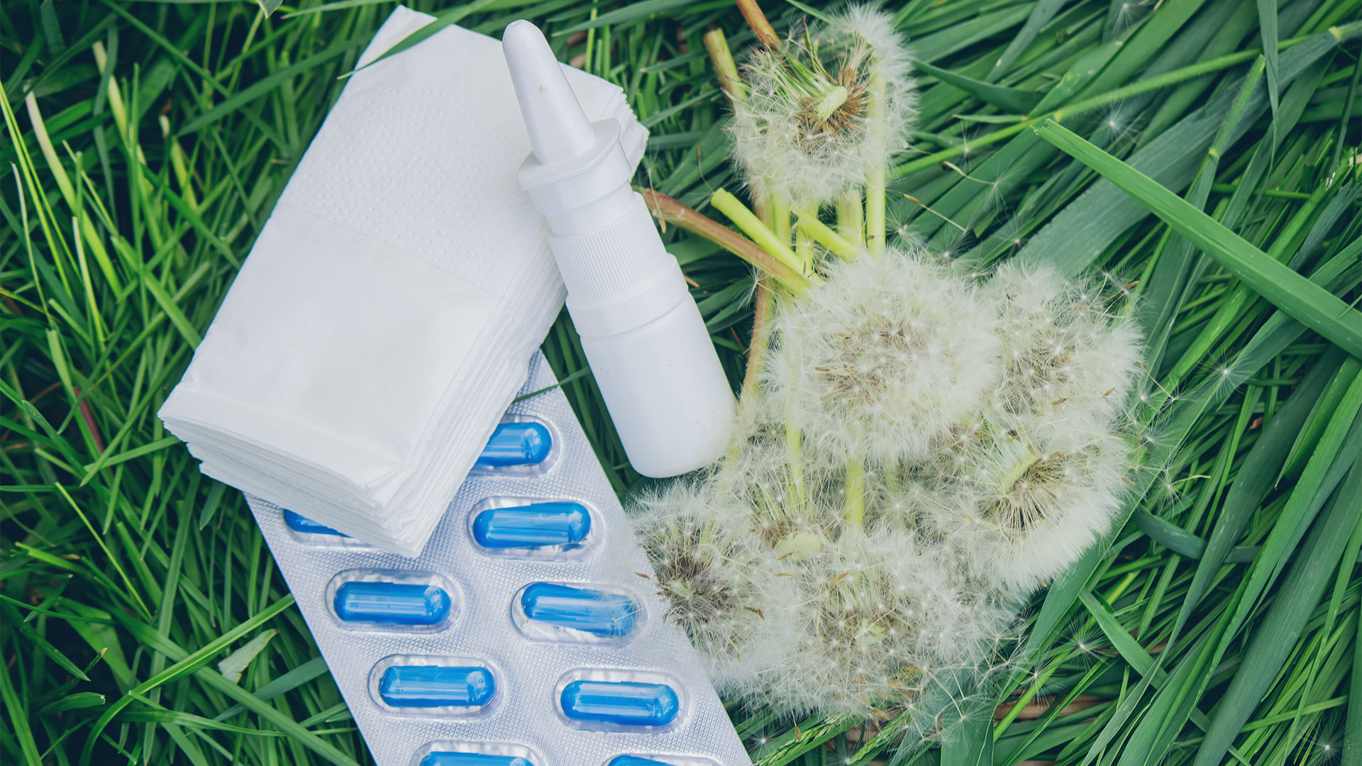 Лучшие лекарства от аллергии: как они действуют и что из себя представляют