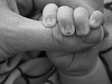 На Алтае 148 детей лишили прав на жилье, купленное за счет маткапитала