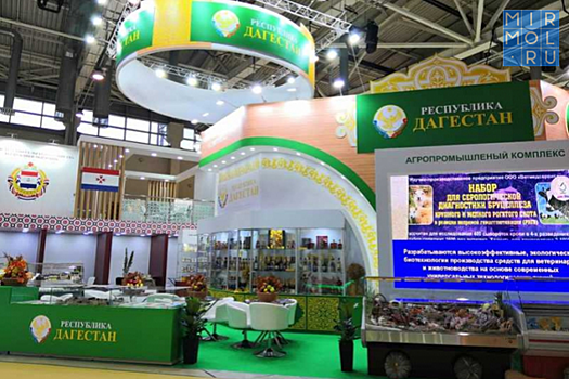 Дагестан представил свою сельхозпродукцию на выставке «Золотая осень – 2019»