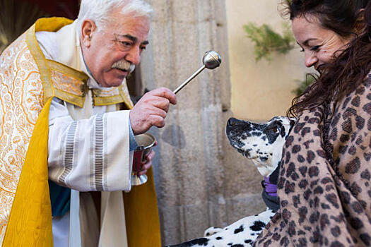 Почему животных окропляют святой водой в День святого Антония