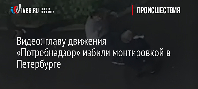 Видео: главу движения «Потребнадзор» избили монтировкой в Петербурге