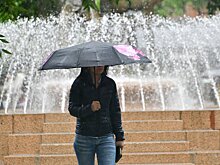 Сегодня в Москве ожидаются кратковременные дожди и грозы