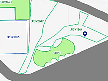 На Дальнем Востоке заметили Бэтмена