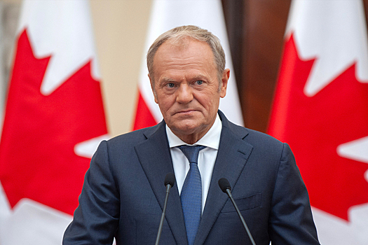 Польские военные – это каратели, но не профессионалы: мнение военного аналитика