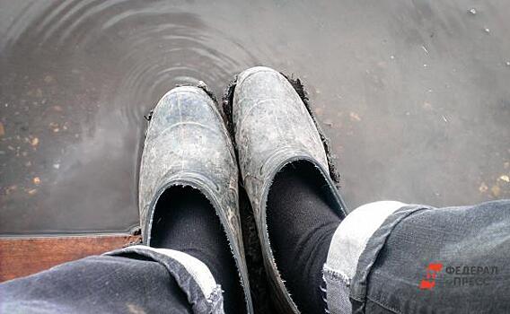 В Новосибирской области талыми водами затопило дорогу