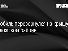 Автомобиль перевернулся на крышу во Всеволожском районе
