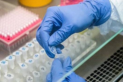 Певец Марк Тишман сдал анализ на антитела к новому коронавирусу в московской поликлинике