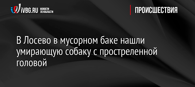 В Лосево в мусорном баке нашли умирающую собаку с простреленной головой