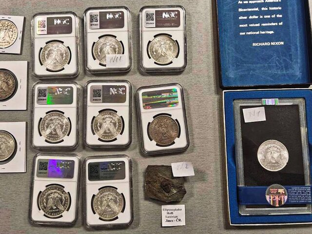 Таможенники задержали во Внуково пассажира с серебряными долларами XIX века