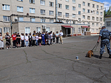 В Татарстане в преддверии Дня кинологических подразделений МВД России для воспитанников пришкольных лагерей было организовано выступление кинологов с их четвероногими подопечными