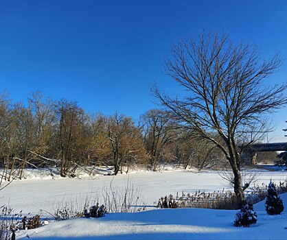 Синоптики предупреждают жителей Курской области о морозах до -32°