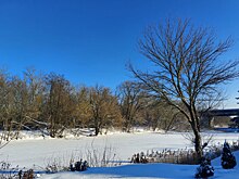 Синоптики предупреждают жителей Курской области о морозах до -32°