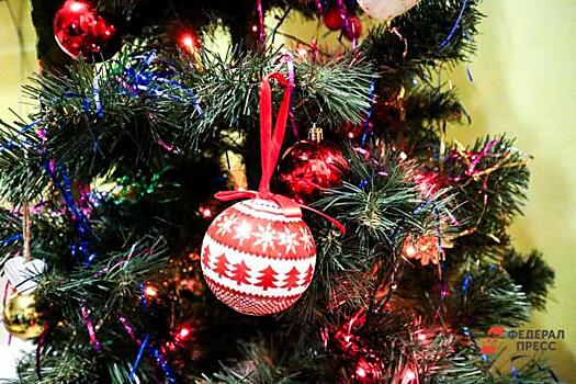Жители Архангельской области могут купить новогоднюю елку через Госуслуги