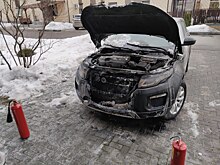 Дзержинской зоозащитнице Алле Кузнецовой подожгли автомобиль