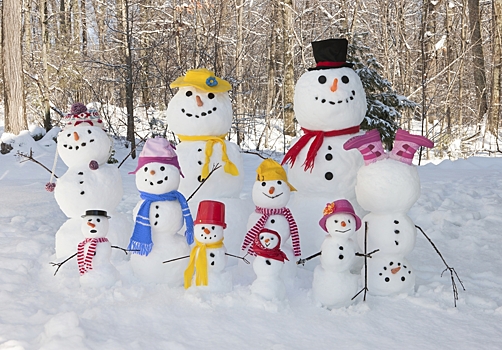 Московский Дворец пионеров приглашает на конкурс авторской лепки снеговиков