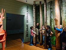 В экоцентре «Лесная сказка» 20 мая пройдет экскурсия ко Дню биоразнообразия