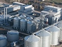 Три новых маслозавода планируют построить в Ростовской области