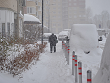 Возвращение снега и морозов пообещали жителям Москвы