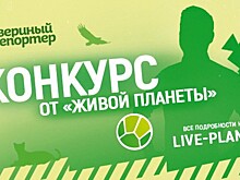 Канал "Живая Планета" ищет "звериных репортеров"